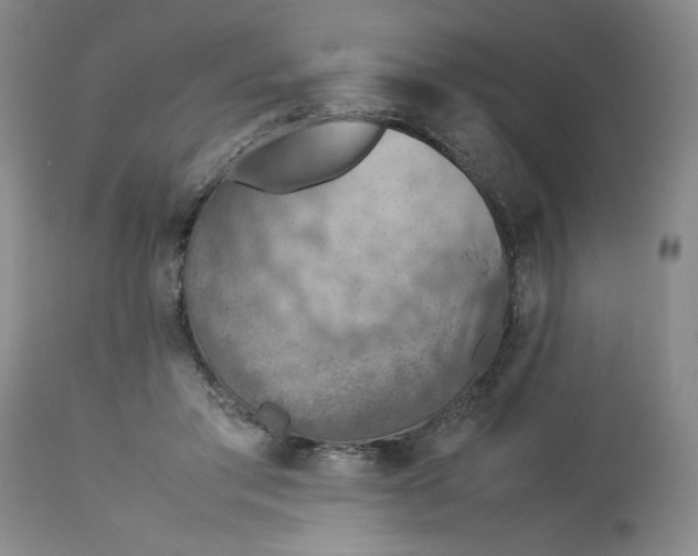 X0000113590405200910021722