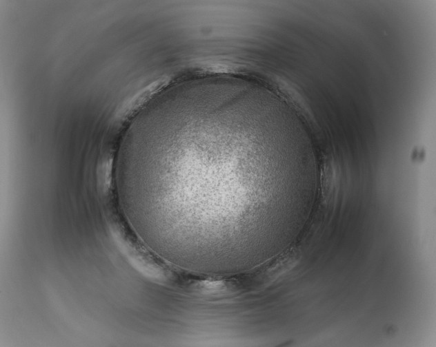 X0000113590406200910021722