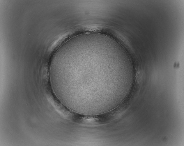 X0000113590407200910021722