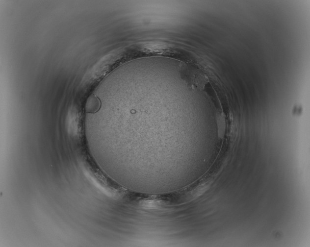 X0000113590408200910021722