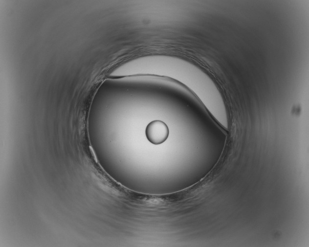 X0000113590409200910021722