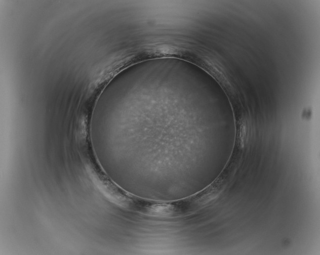 X0000113590410200910021722