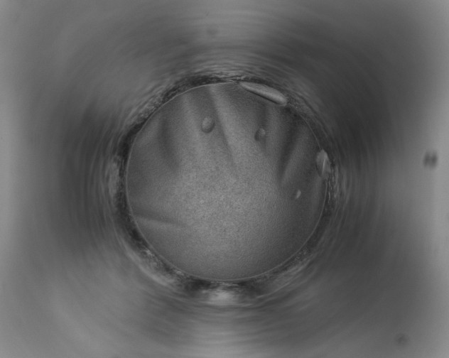 X0000113590412200910021722