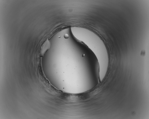 X0000113590413200910021722