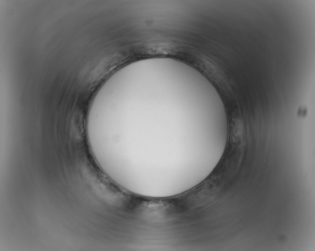 X0000113590414200910021722