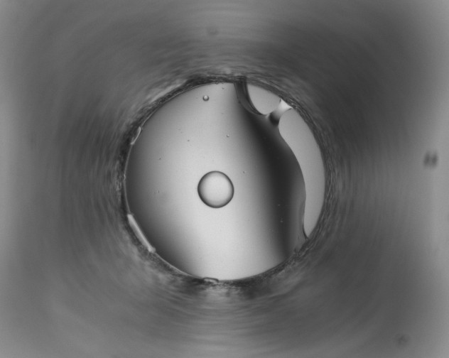 X0000113590415200910021722