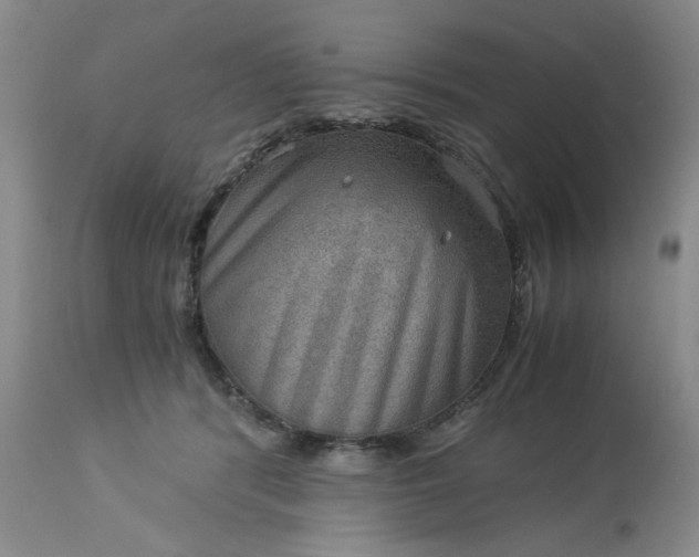 X0000113590416200910021722