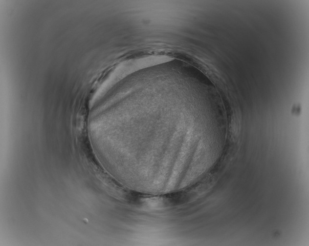 X0000113590417200910021722