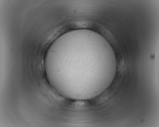 X0000113590418200910021722