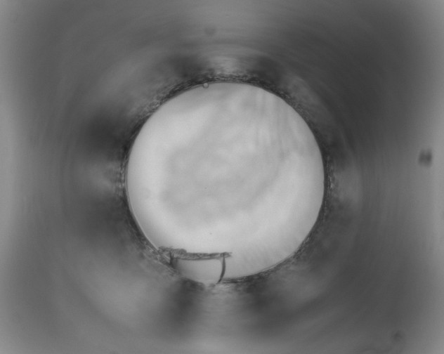 X0000113590419200910021722