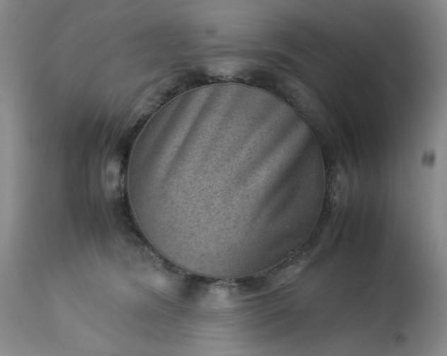 X0000113590420200910021722