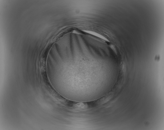 X0000113590421200910021722