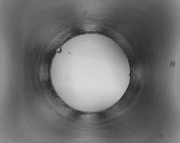 X0000113590422200910021722