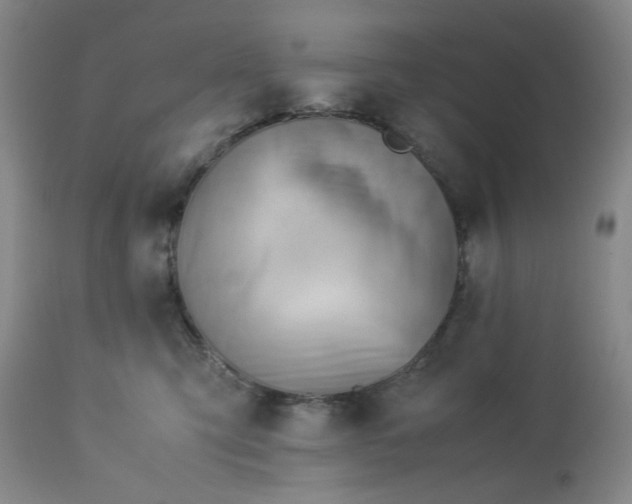 X0000113590423200910021722