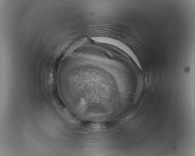 X0000113590424200910021722