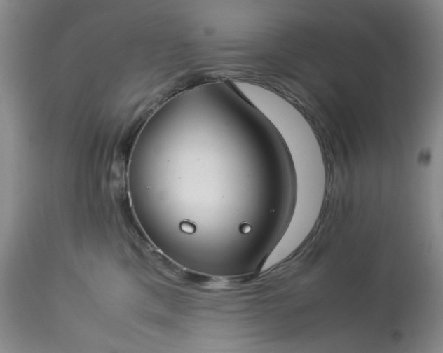 X0000113590425200910021722