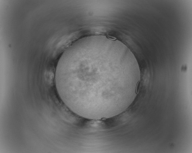 X0000113590427200910021722