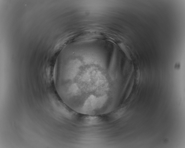 X0000113590428200910021722