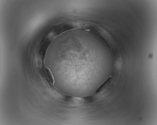 X0000113590429200910021722