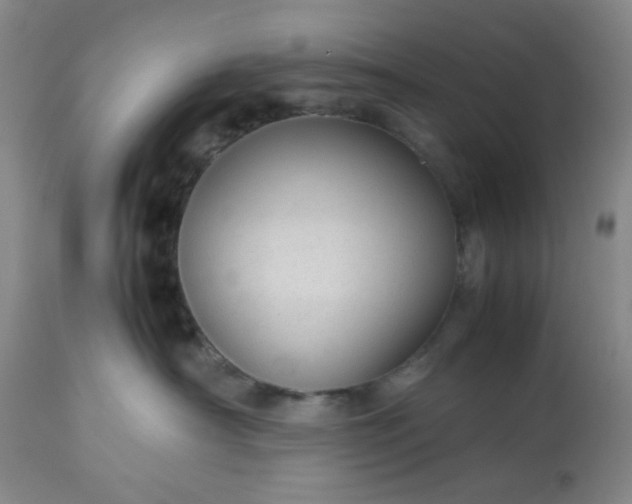 X0000113590430200910021722