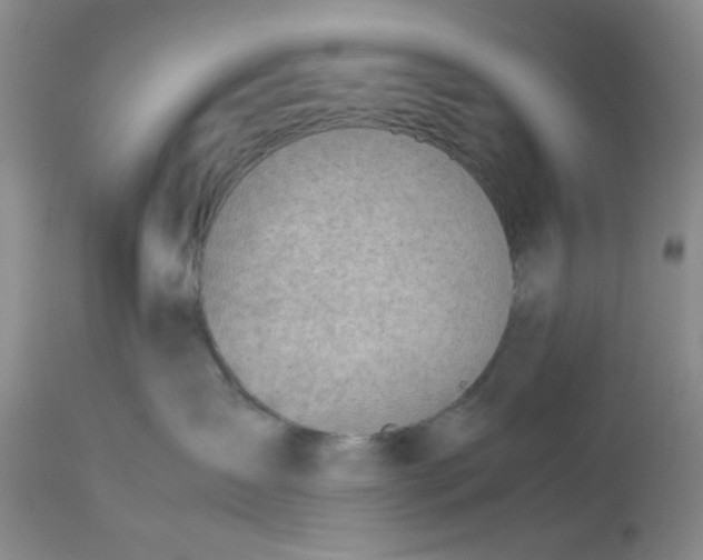 X0000113590431200910021722