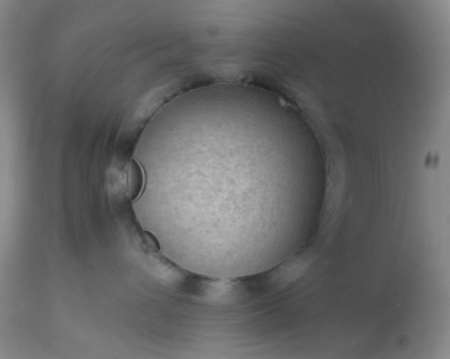 X0000113590432200910021722