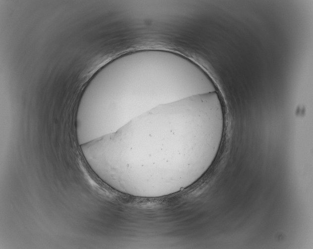 X0000113590433200910021721