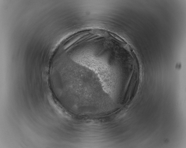 X0000113590434200910021721