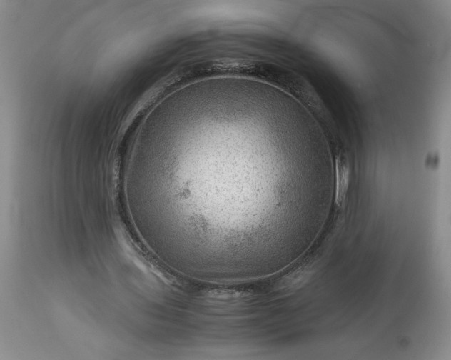 X0000113590435200910021721