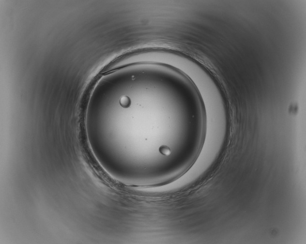 X0000113590436200910021721