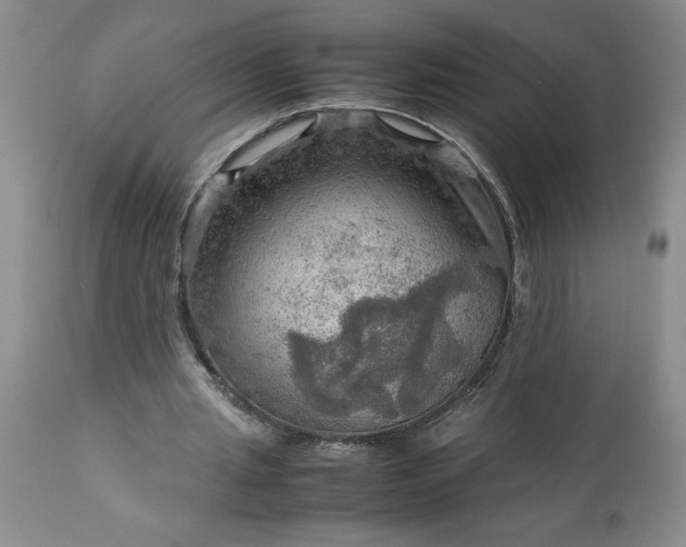 X0000113590437200910021721