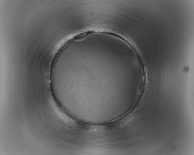 X0000113590438200910021721