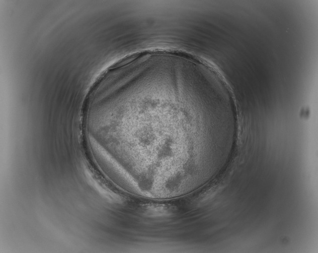 X0000113590439200910021721