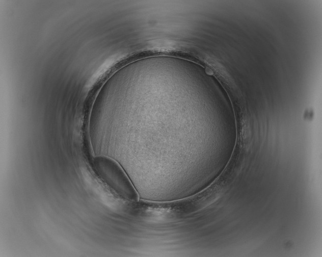 X0000113590440200910021721