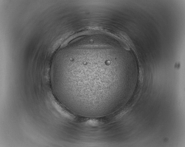 X0000113590441200910021721