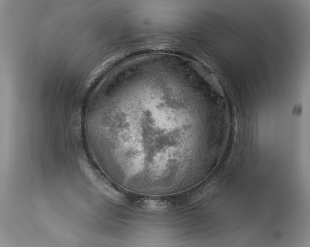 X0000113590442200910021721