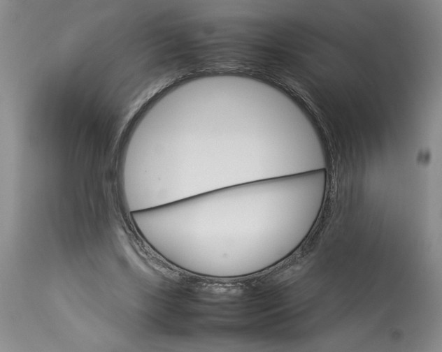 X0000113590443200910021721