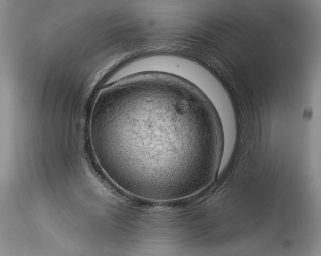 X0000113590444200910021721