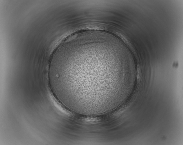 X0000113590445200910021721