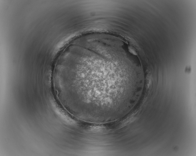 X0000113590446200910021721