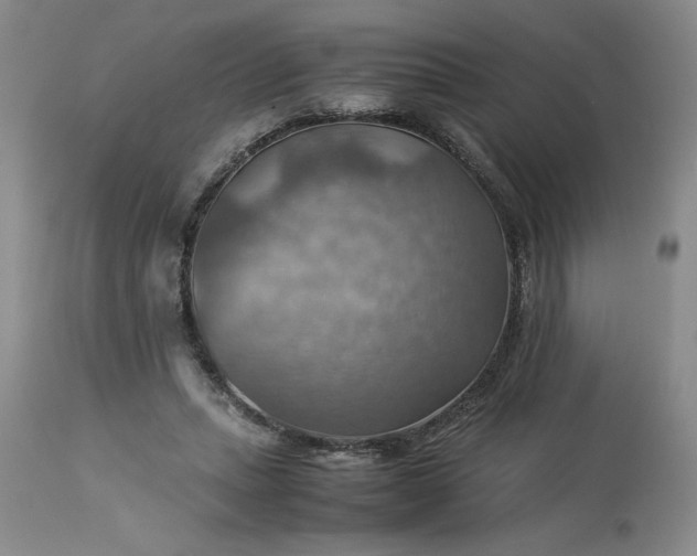 X0000113590447200910021721