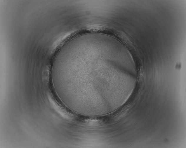 X0000113590448200910021721