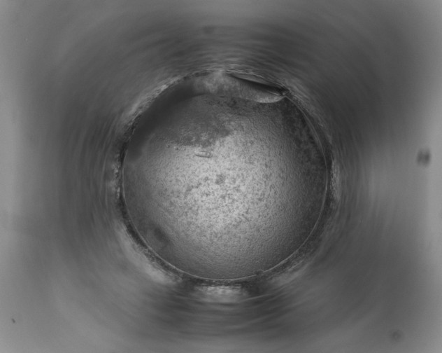 X0000113590449200910021721