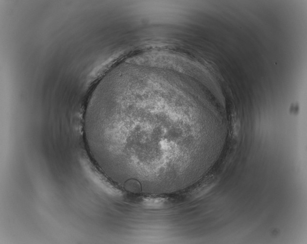 X0000113590450200910021721