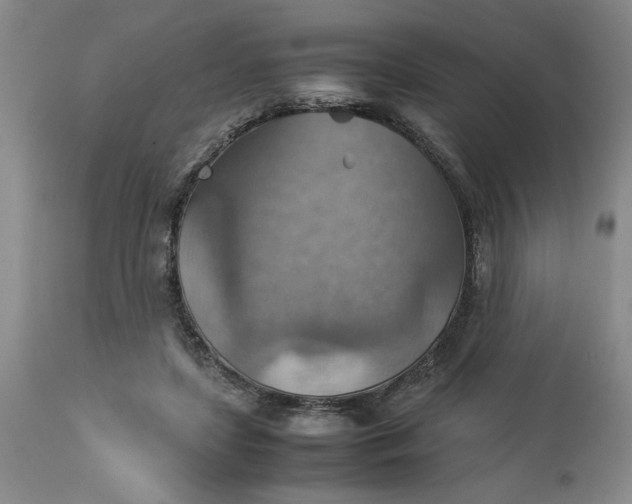 X0000113590451200910021721