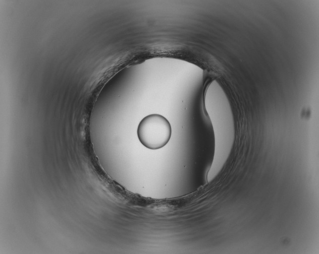 X0000113590452200910021721