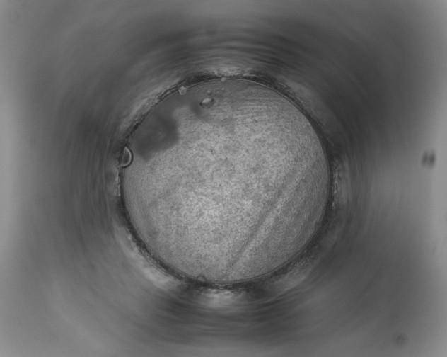 X0000113590453200910021721