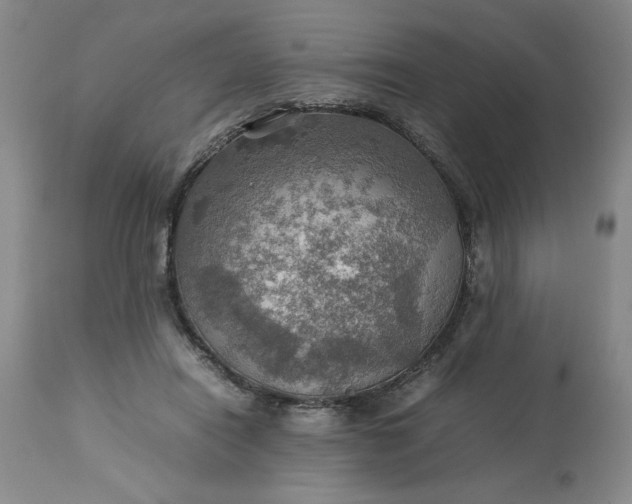 X0000113590454200910021721