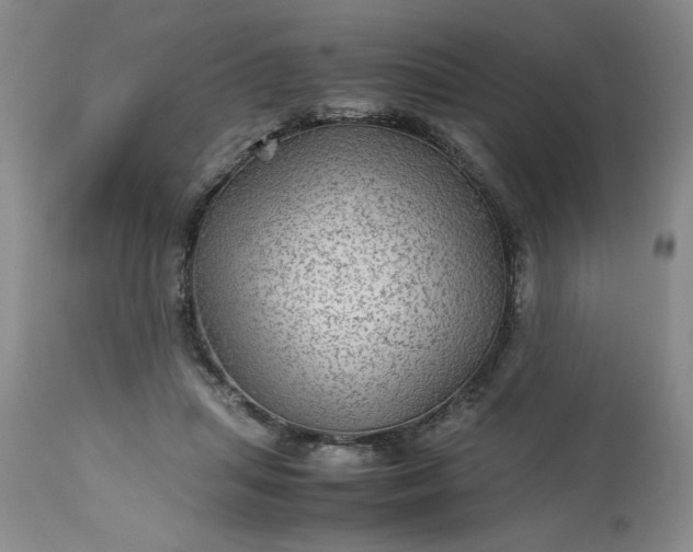 X0000113590455200910021721