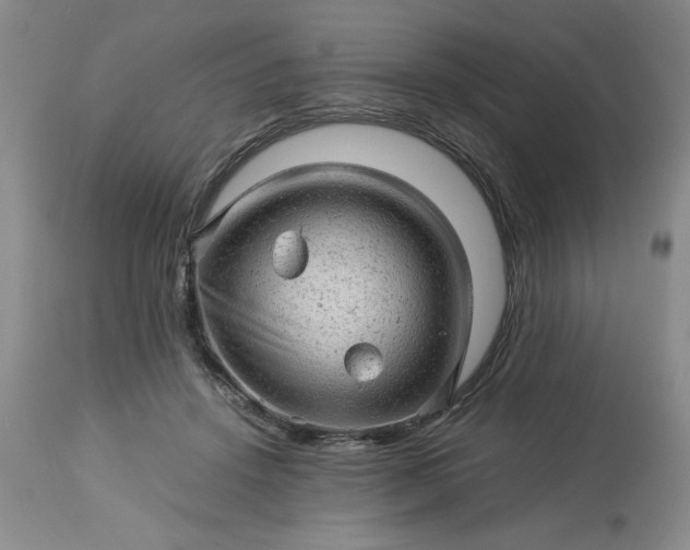 X0000113590456200910021721